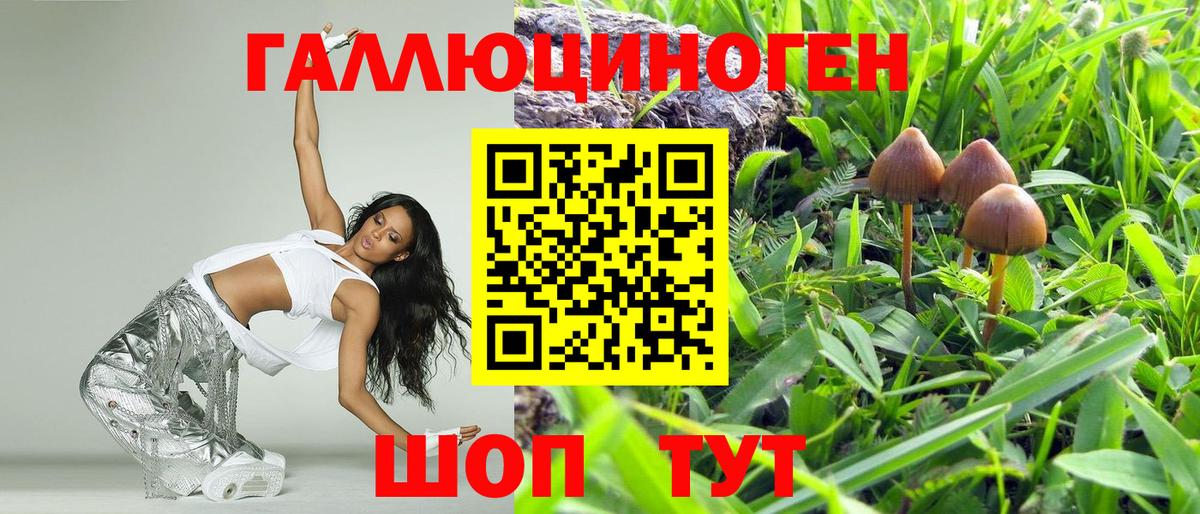Псилоцибиновые грибы мухоморы Анапа